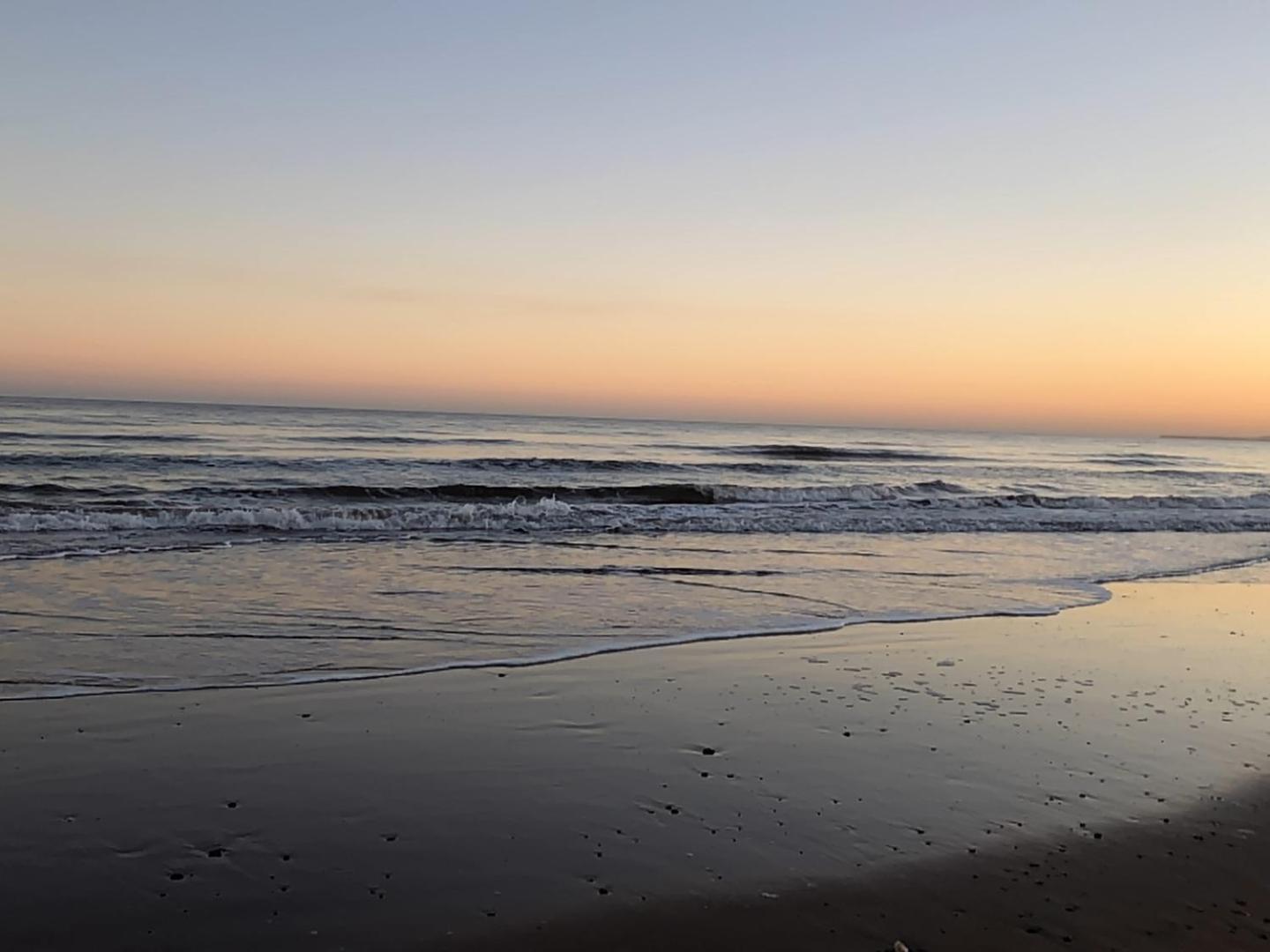 Sunny View Daire Dawlish Dış mekan fotoğraf