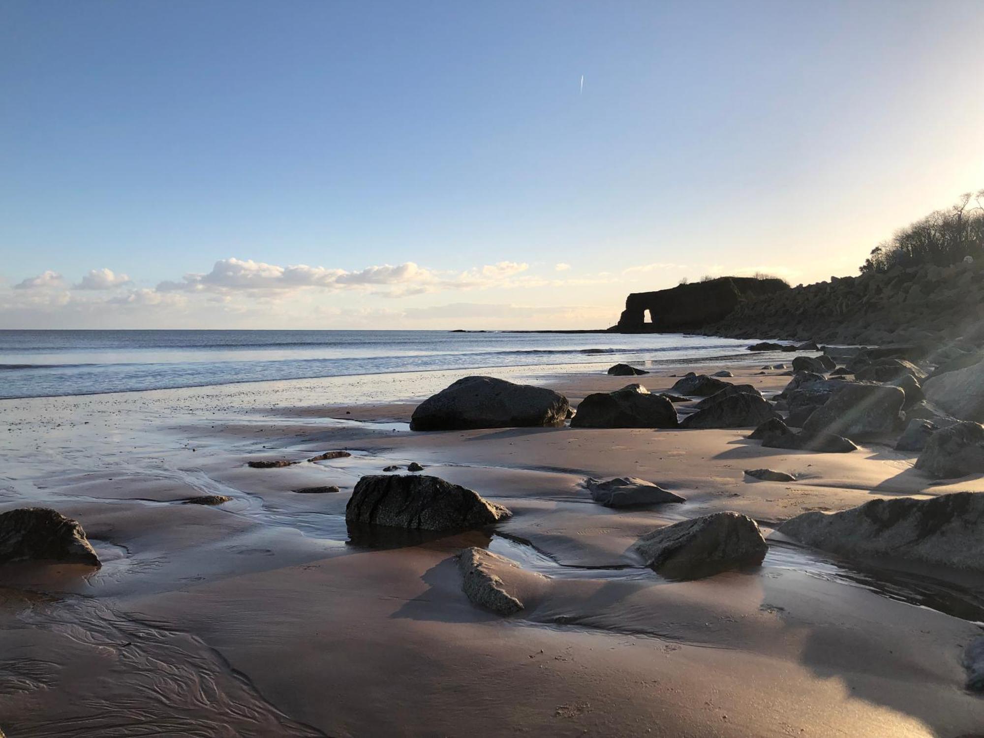Sunny View Daire Dawlish Dış mekan fotoğraf