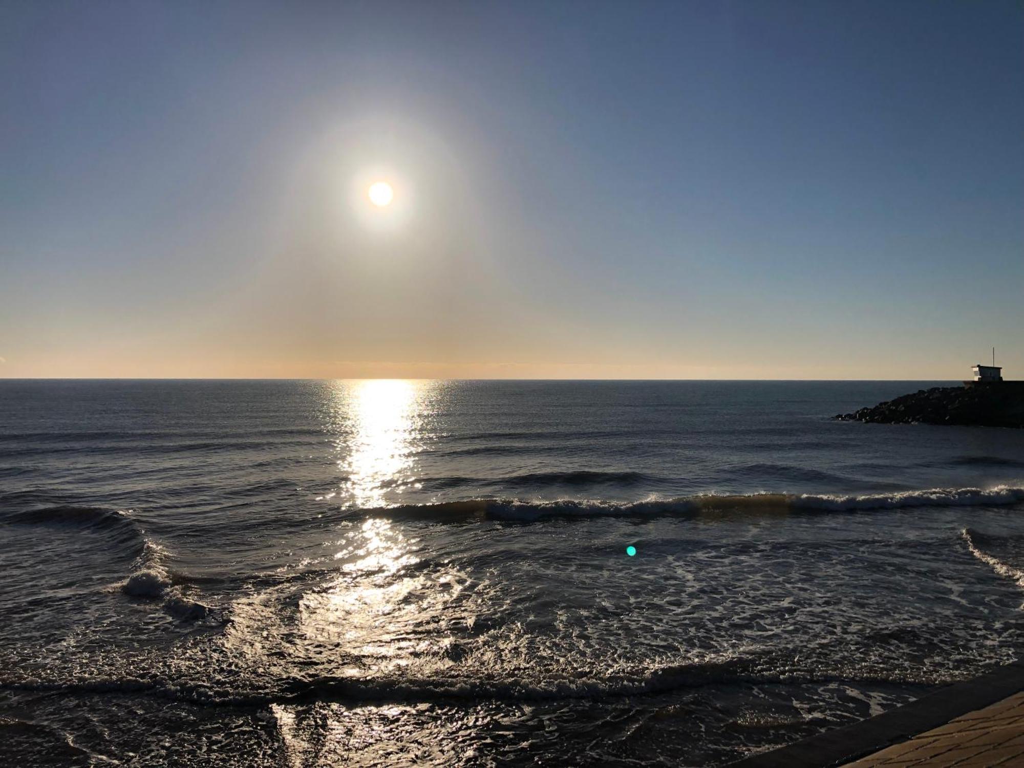 Sunny View Daire Dawlish Dış mekan fotoğraf