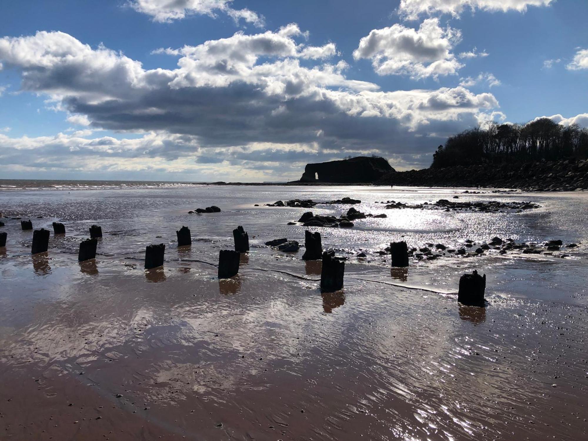 Sunny View Daire Dawlish Dış mekan fotoğraf